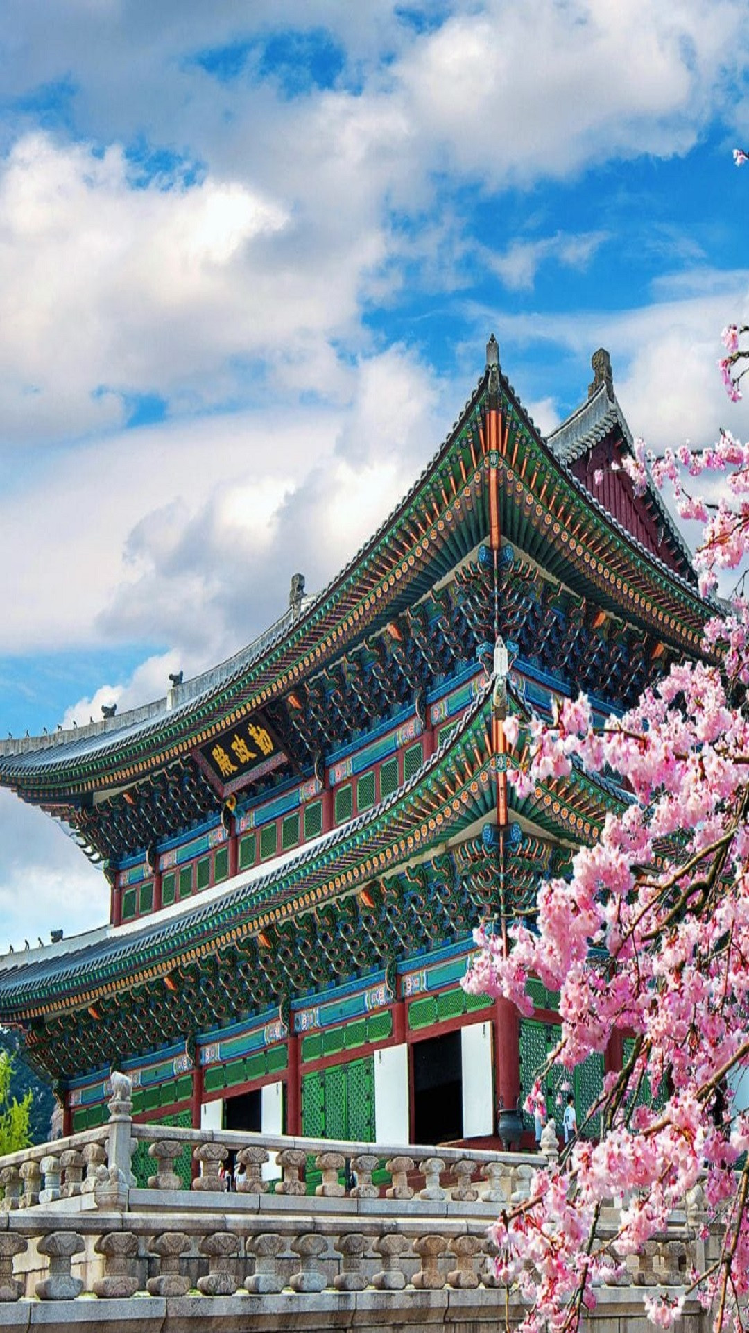 South Korea Tour - Cherry Blossom Season Trip