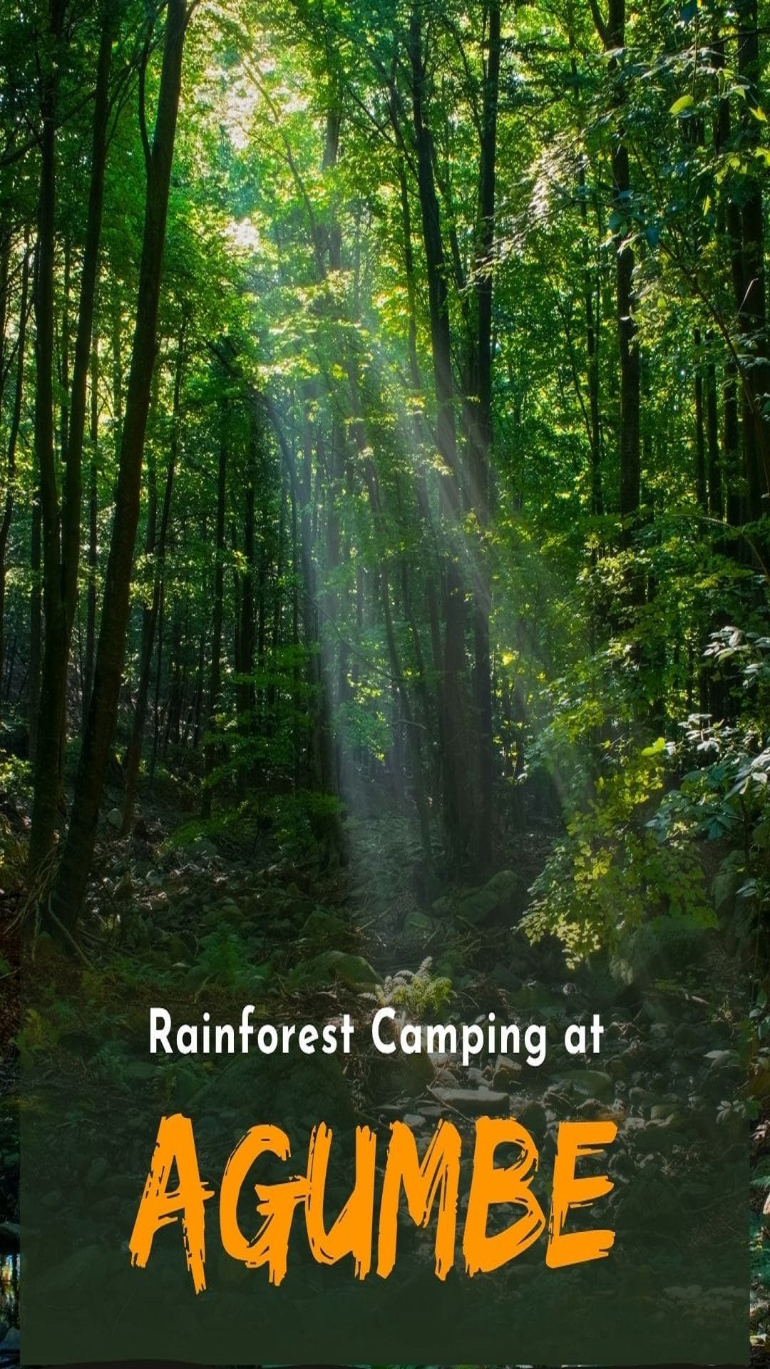 Agumbe Ghat - Forest Therapy