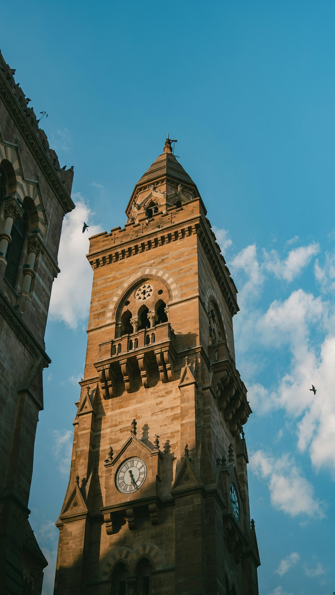 Rann of Kutch Festival