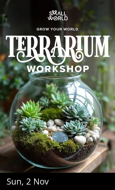 DIY Terrarium Workshop