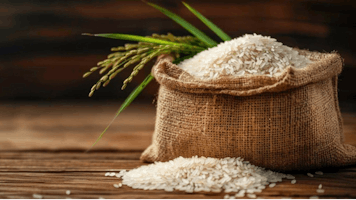 sri balamurugan traders