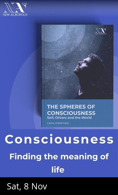 Consciousness: Finding the Meaning of Life